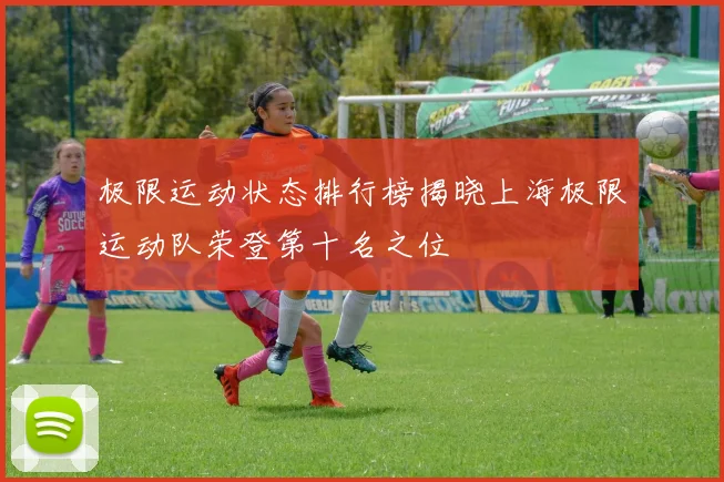 极限运动状态排行榜揭晓上海极限运动队荣登第十名之位