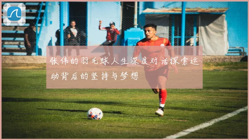 张伟的羽毛球人生深度对话探索运动背后的坚持与梦想