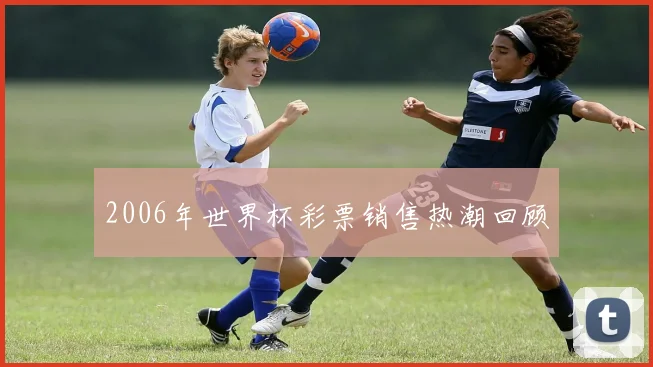 2006年世界杯彩票销售热潮回顾